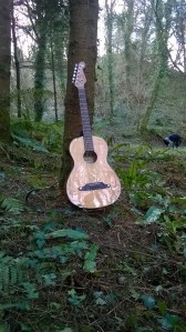 WP_20160304_10_22_02_Pro