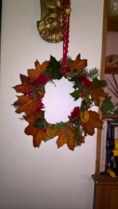 wp_20161116_11_35_31_pro