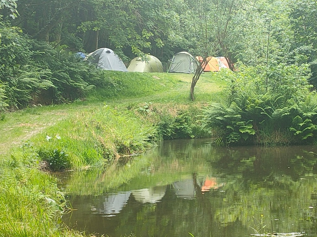 Yomer Wood Camping — photo 8